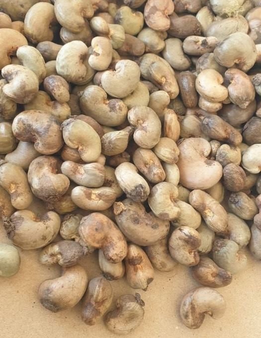 Raw Cashew Nuts